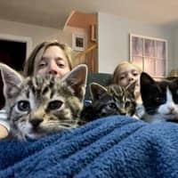 Sitter Profile Image: Suzanne V.