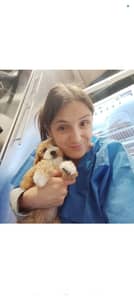 Sitter Profile Image: Alexia G.