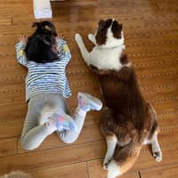 Sitter Profile Image: Lihuan Y.