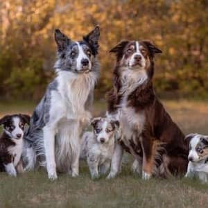 Sitter Profile Image: Aleksandra P.