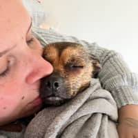 Sitter Profile Image: Leann K.