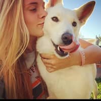 Sitter Profile Image: Jean S.