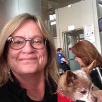 Sitter Profile Image: Connie T.