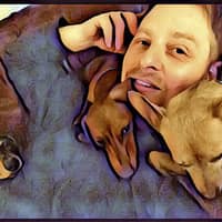 Sitter Profile Image: Michael K.