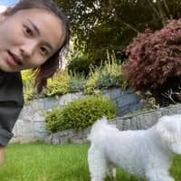 Sitter Profile Image: Silver Y.