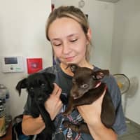 Photo de profil du pet sitter : Mathilde B.