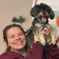 Sitter Profile Image: LeeAnn F.