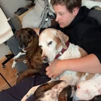 Profilbilde av hundepasser: Solfrid D S.