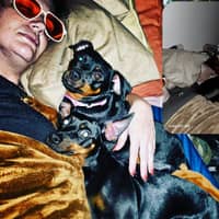 Sitter Profile Image: Alayna B.