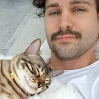 Sitterprofilbild: Rene H.