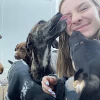 Sitter Profile Image: Kylee M.