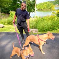 Sitter Profile Image: Derick W.