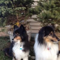 Sitter Profile Image: Kathy L.