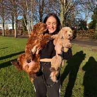 Sitter Profile Image: Beth I.