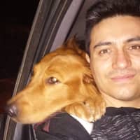 Sitter Profile Image: Alvaro P.