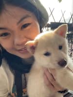 Sitterprofilbild: Yu L.