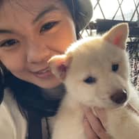 Sitterprofilbild: Yu L.