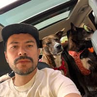 Sitter Profile Image: Andres f O.