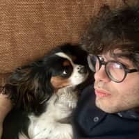 Immagine del profilo del sitter: Alessandro B.