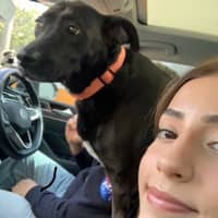 Photo de profil du pet sitter : Zeynep A.