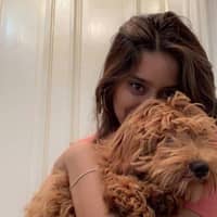 Sitter Profile Image: Nina D.