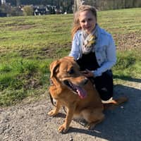 Sitterprofilbild: Lisa W.