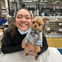 Sitter Profile Image: Cindy H.