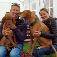 Sitter Profile Image: Stephen H.