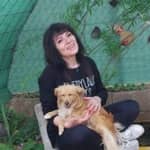 Sitter Profile Image: Silva G.