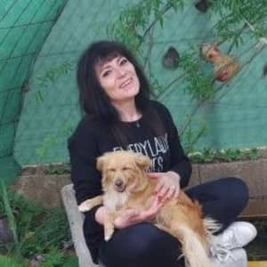 Sitter Profile Image: Silva G.