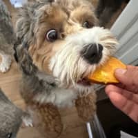 Sitter Profile Image: Ma Teresa N.