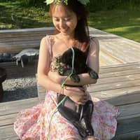 Passarens profilbild: Zhuoy H.