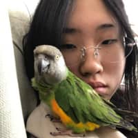 Sitter Profile Image: Yoonseo S.