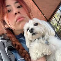 Sitter Profile Image: Lisbeth H.