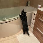 Sitter Profile Image: Jessica F.