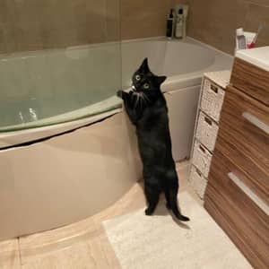 Sitter Profile Image: Jessica F.