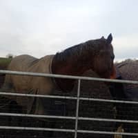 Sitter Profile Image: Emma R.