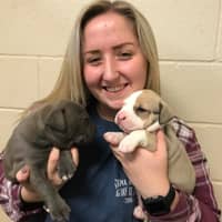 Sitter Profile Image: Morgan M.