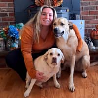 Sitter Profile Image: Abby W.