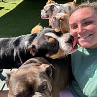 Sitter Profile Image: Abby W.