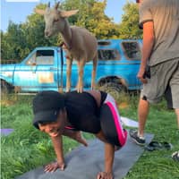 Sitter Profile Image: Dominique P.