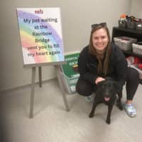 Sitter Profile Image: Kaitlyn R.