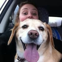 Sitter Profile Image: Deana F.