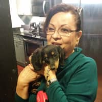 Sitter Profile Image: Lulu R.