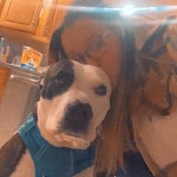 Sitter Profile Image: Carissa T.