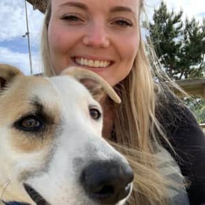 Sitter Profile Image: Alex B.