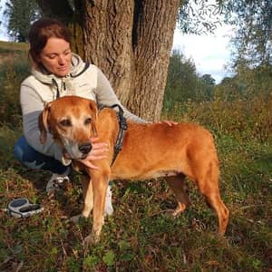 Sitter Profile Image: Adeline C.