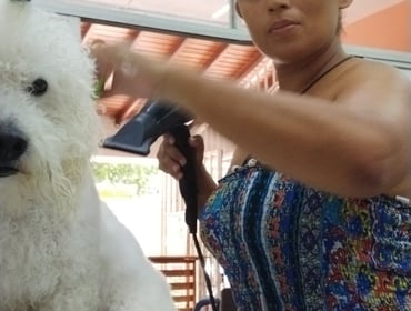 Image 0