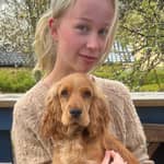 Sitter Profile Image: Sofia G.