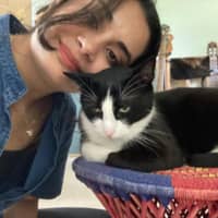 Sitterprofilbild: cemre m.